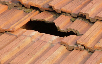 roof repair Whelston, Flintshire
